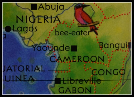 cameroon map with crop